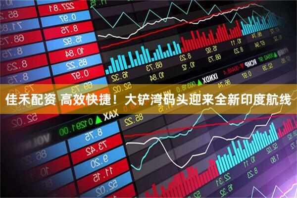 佳禾配资 高效快捷！大铲湾码头迎来全新印度航线