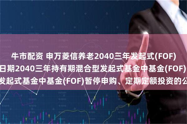 牛市配资 申万菱信养老2040三年发起式(FOF): 关于申万菱信养老目标日期2040三年持有期混合型发起式基金中基金(FOF)暂停申购、定期定额投资的公告